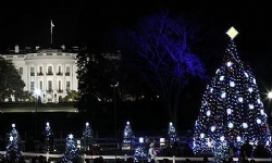 Amerika`da Noel Ağacı Tartışmaları Yine Gündemde