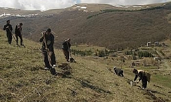 Norveç ‘Ermenistan Orman Restorasyonu Projesi’ için 1.2 milyon dolar tahsis etti