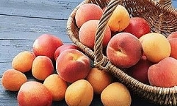 2012 yılında Ermenistan’dan ihraç edilen yaş meyve ve sebze miktarı % 85 arttı