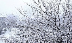 Erivan’a ilk kar yağdı