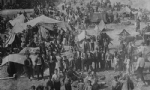 İstanbul`da Ermeni Tehcirini belgeleyen telgraf sergisi açıldı