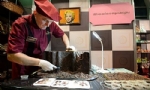 Ermenistan’lı Pastacılar Moskova’da “Çikolata Salonu” Festivaline Katılacak