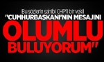 CHP`li Ermeni Vekilden Cumhurbaşkanı Erdoğan`a Destek