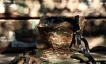 AGİT Gözleminden Hemen Sonra Azerbaycan Tarafı Ermeni Askeri Şehit Etti
