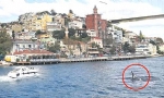 İstanbul boğazında görünen köpek balığı tatilcileri korkuttu (video)