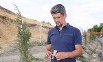 ​HDP milletvekili Paylan`dan Van Edremit`teki Ermeni Mezarlığına ziyaret