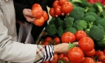​Rusya’ya domates ihracatı Ermenistan üzerinden mi delindi?