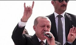​Paylan’dan Erdoğan’a ‘bozkurt işareti’ eleştirisi