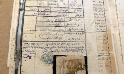 84 yaşındaki Ermeni nine, Türkiye`de kalan aile mirasını geri almak için Avrupa Mahkemesi`ne başvur