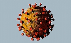 EU to provide EUR 51,000,000 to Armenia to fight against COVID-19