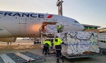 ​First Plane with Humanitarian Aid From France Lands in Yerevan