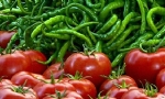 Rusya’dan Ermenistan’daki 13 şirketin domates ve biber sevkiyatı yapmasına izin çıktı